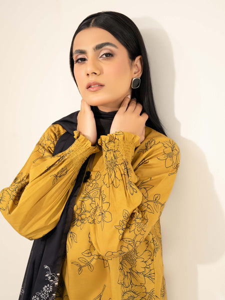 2 Piece Lawn Suit-Printed (Unstitched)